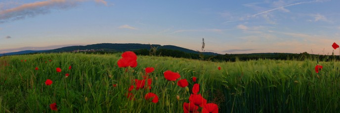 Entre Saône et Mamirolle - Franche Comté