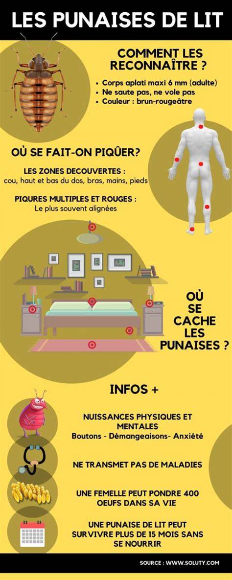 carte des infestations et prévention punaises de lit