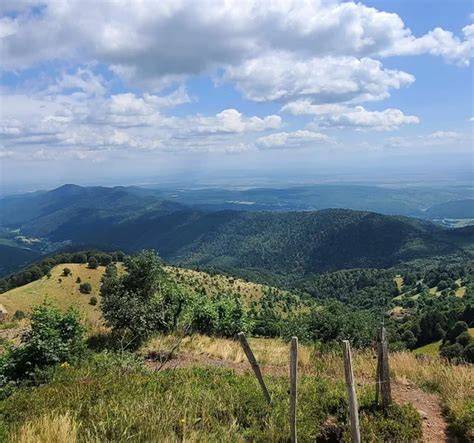 Vue panoramique sur Alsace depuis le Ballon