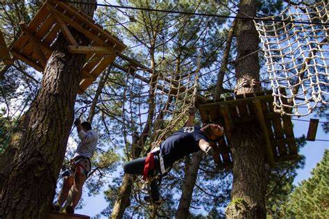Parc d’aventures en hauteur dans la forêt