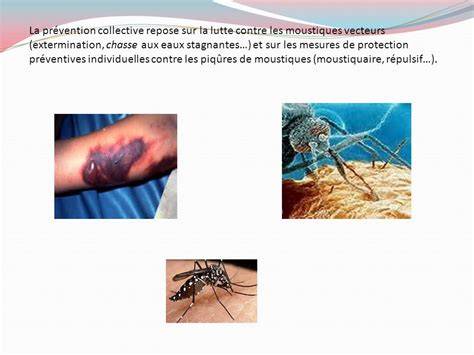 Vignette d’infographie sur les mesures préventives contre les moustiques