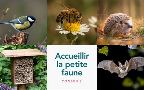 visuel presqu'île privée et faune locale
