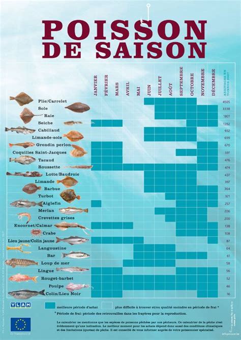 illustration poissons de saison été