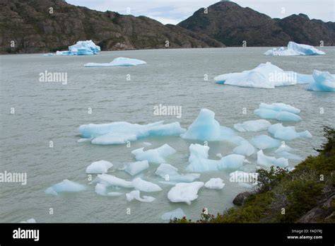craie glacier et icebergs lac Grey
