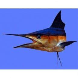 sculpture murale poisson spearfish shortbill