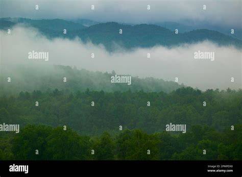 Forêts et brume des Great Smoky Mountains