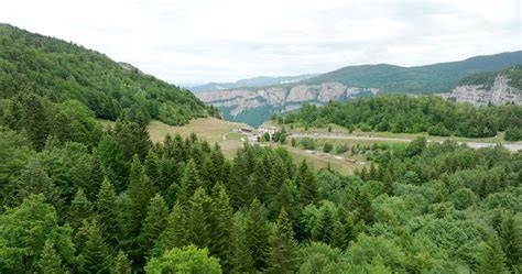 paysage Col de la Machine et forêt