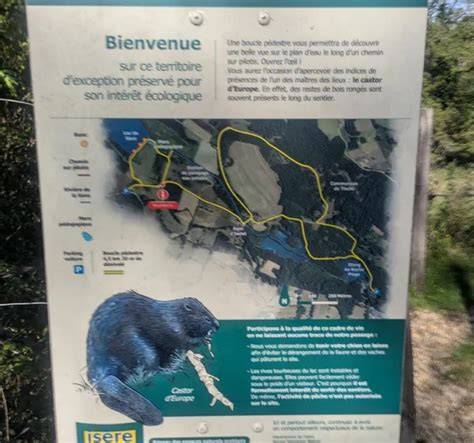 Épreuves d’équipe sur plage et lac