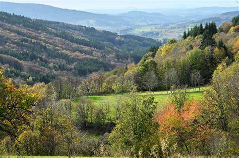 zone naturelle et paysages du Livradois-Forez