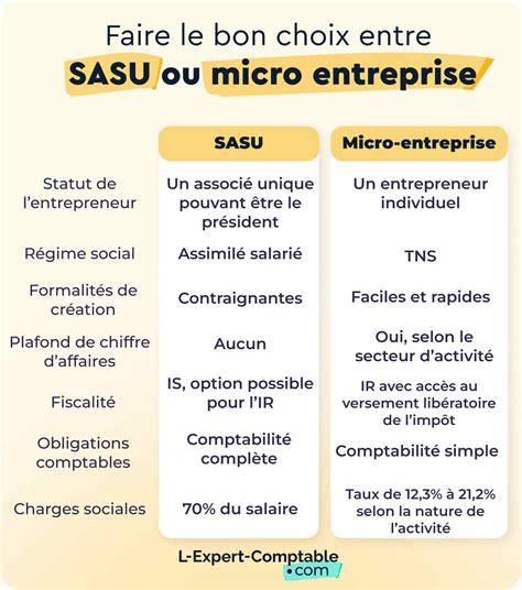 schéma comparaison statuts SASU et micro-entreprise