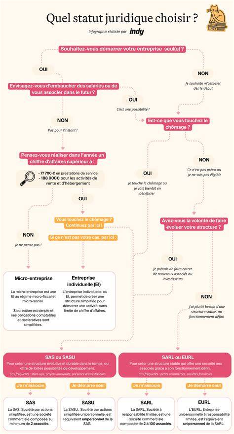 infographie statut immatriculation entreprises France