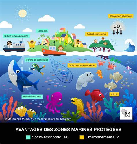 Plan des zones marines et tunnels du SEA LIFE