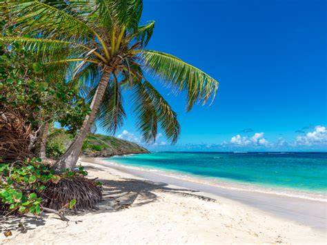 Plages et paysages des Caraïbes