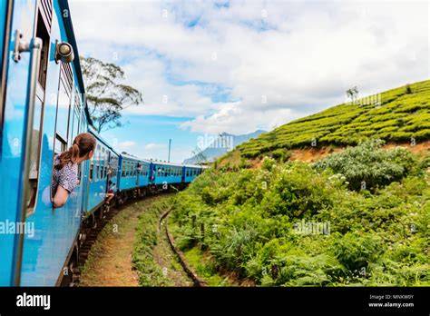 Ella Train Route and Tea Plantations