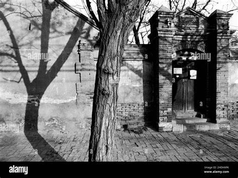 Vue du Hutong et cour traditionnelle de Pékin