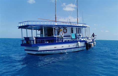 croisière plongée égyptienne récapitulatif